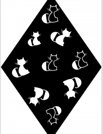 THE KITTY PARTY SCARF